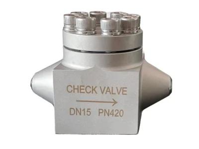 Cryogenic Lifting Check Valve