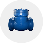 banner-image-Check-Valve-color